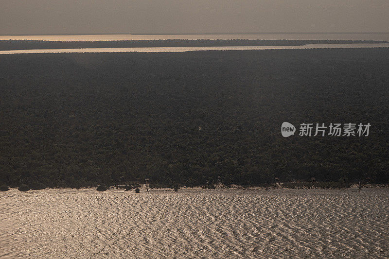 马拉霍湾-亚马逊雨林- Pará，巴西